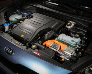 NUEVO KIA NIRO PHEV   CALIDAD MEDIA 039